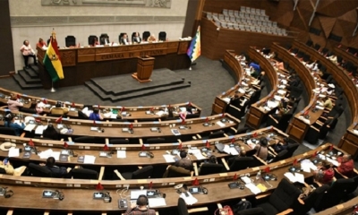 Pleno de la Cámara de Diputados. Foto/CD