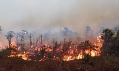 Los incendios ingresaron al Parque Noel Kempff Mercado. Foto: Fundación Solón.