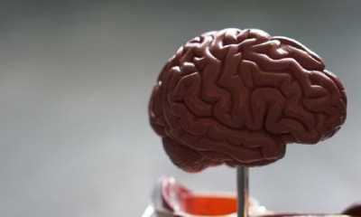 La neurotecnología quiere saber la conducta del cerebro y plantea grabar recuerdos y modificar conductas. | Fuente: Unsplash
