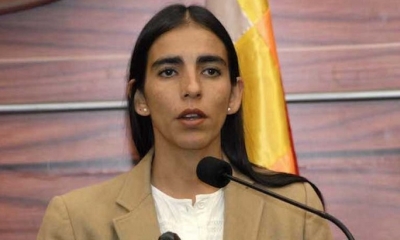 La presidenta de la Cámara de Diputados, Gabriela Montaño