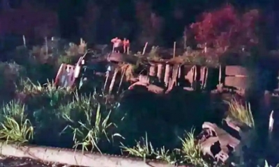 El bus quedó volcado en la vegetación.