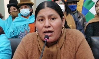 Angélica Ponce, ejecutiva de la Cnamib.