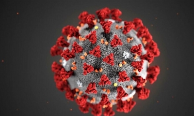 Coronavirus
