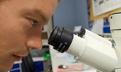 Una luz de esperanza tiene la humanidad en la ciencia que no descansa en buscar un freno para el coronavirus
