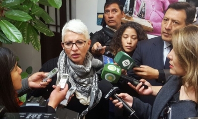 Susana Rivero presidenta de la Comisión de Constitución de la Cámara de Diputados/Foto. RRSS