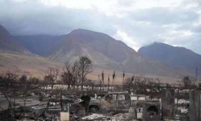 Los 55 cadáveres que se han encontrado hasta el momento 
