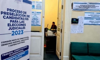 La Asamblea Legislativa Plurinacional (ALP) tendrá 45 días para realizar el proceso de preselección, y el TSE, 90 días para organizar la elección.