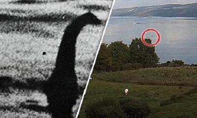 El monstruo del Lago Ness. Foto: Ojo.pe