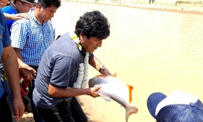 El expresidente Evo Morales. 