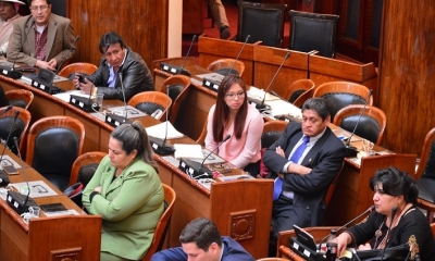 La diputada Fernanda San Martín reafirmó la denuncia de su par, Jimena Costa