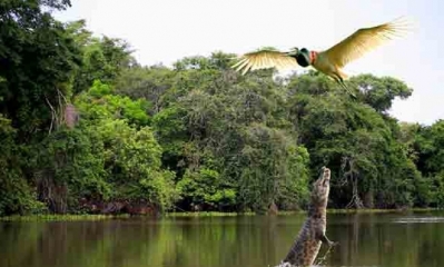 Parque Madidi/Foto. RRSS