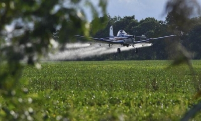 Una avioneta realiza labores de fumigación. | APG