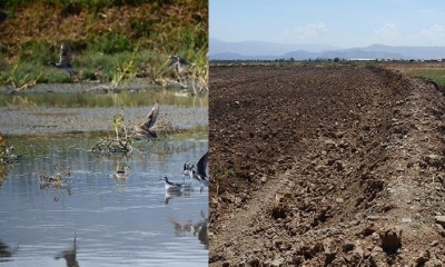 La laguna antes y después /Foto. LT