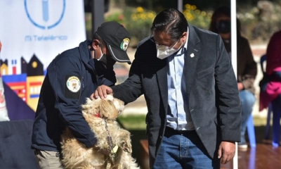 El presidente Luis Arce 