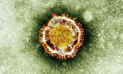 Esta fotografía, cortesía de la Agencia Británica de Protección de la Salud, muestra el nuevo coronavirus visto bajo un microscopio electrónico.