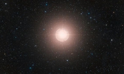 En septiembre de 2019, Betelgeuse comenzó a desvanecerse y en diciembre su brillo alcanzó un mínimo en toda la historia. | Fuente: ESO