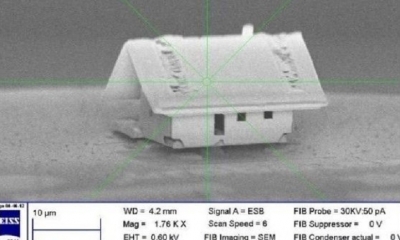 La casa más pequeña mide en micras. Foto: El Colombiano