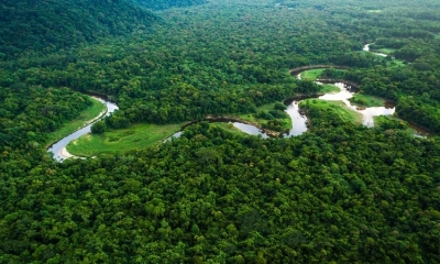 La Mata Atlántica es considerada una de las zonas de biodiversidad más ricas del mundo.
