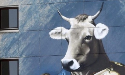 Cataluña autoriza la venta de leche cruda para ayudar a los pequeños lecheros. Foto: El Deber
