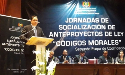 El ministro del área Héctor Arce.