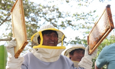El presidente Evo Morales entregó una planta procesadora de miel en el municipio de Irupana, en la provincia Sud Yungas de La Paz. Foto: ABI