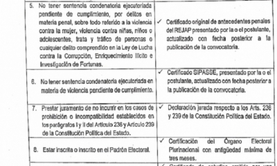 Funcionarios del Gobierno de Añez, dirigentes y excandidatos serán inhabilitados.