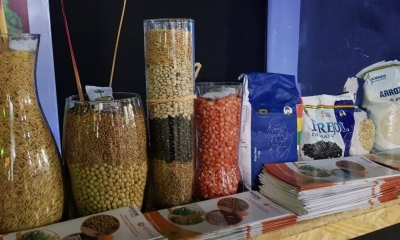 La empresa proyecta producir unas 4.500 toneladas (t) de semillas de trigo.
