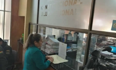 Margarita Fernández, presentó el miércoles al Tribunal Constitucional Plurinacional (TCP) 