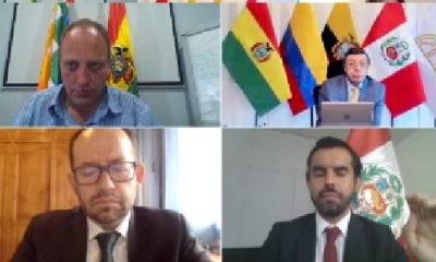 Bolivia, Colombia, Ecuador y Perú asumen medidas para comercio de productos de higiene en pandemia