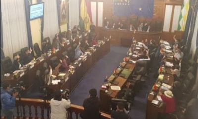 Ahora resta pasar la ley corta al Ejecutivo para que el presidente Evo Morales la promulgue
