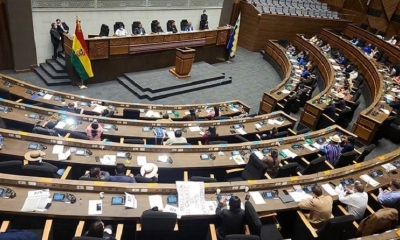 Sesión de la ALP. FOTO archivo