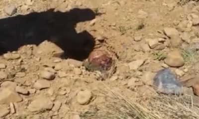 Sospechan que la víctima fue asesinada por un crimen pasional.