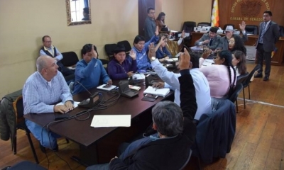 La Comisión Mixta de Constitución. | Foto: @SenadoBolivia