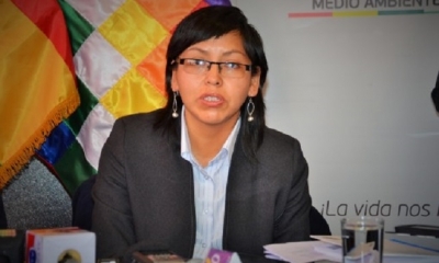 Viceministra de Agua Potable y Saneamiento Básico, Julia Collao. Foto: Internet
