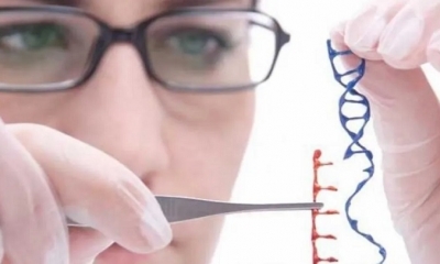 La edición genética abre nuevas fronteras para la cura de enfermedades.Foto: laprensabo.
