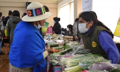 (MDRyT) organizó el martes la feria “Cultivando Lideresas”