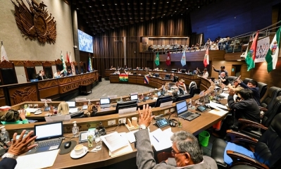 Una sesión del pleno de la Cámara de Senadores.