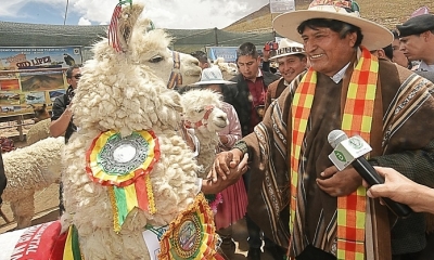 Presidente Evo Morales. Foto: ABI