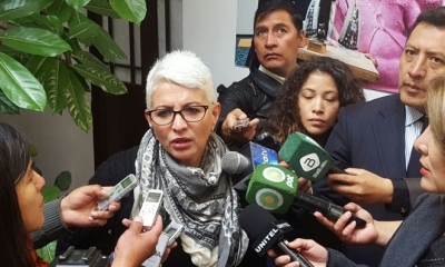 Diputada Susana Rivero.
