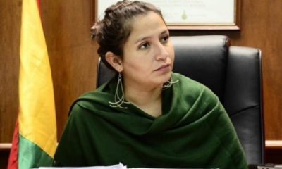 Ariana Campero, exministra de Salud/Foto. RRSS