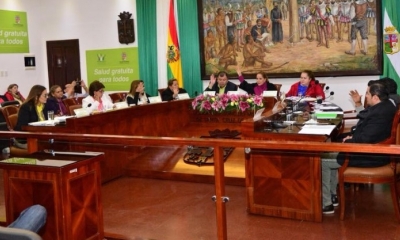 Sesión del Concejo Municipal de Santa Cruz/Foto: RRSS