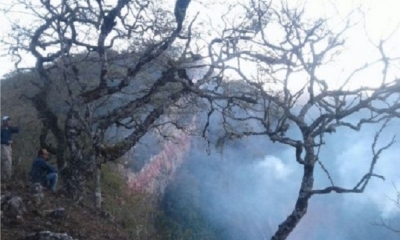 El fuego se registró en una zona de difícil acceso/Foto. David Maygua
