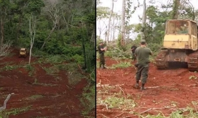 ABT encontró maquinaria realizando desmonte no autorizados.