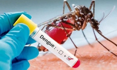Responsables de vigilancia epidemiológica de los países del bloque presidido este semestre por Paraguay