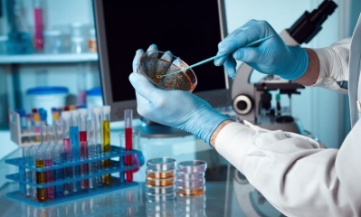 Un nuevo tipo de coronavirus hasta ahora desconocido es el causante del misterioso brote de neumonía vírica 