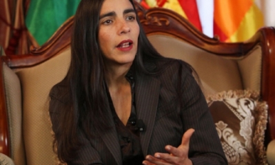 Gabriela Montaño /Foto. Internet