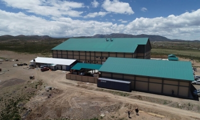 Planta Industrializadora de Quinua