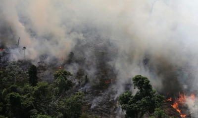 Piden ayuda internacional/Foto. RRSS