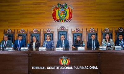 La Sala Plenad el TCP.