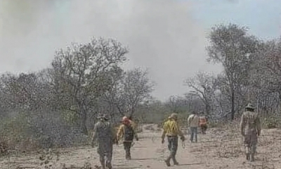 Los bomberos en Roboré ya dan señales de cansancio. Foto: Viceministerio de Defensa Civil.